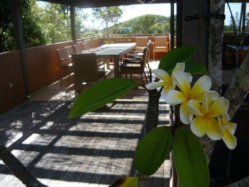 77 Paterson Street, Byron Bay NSW 2481