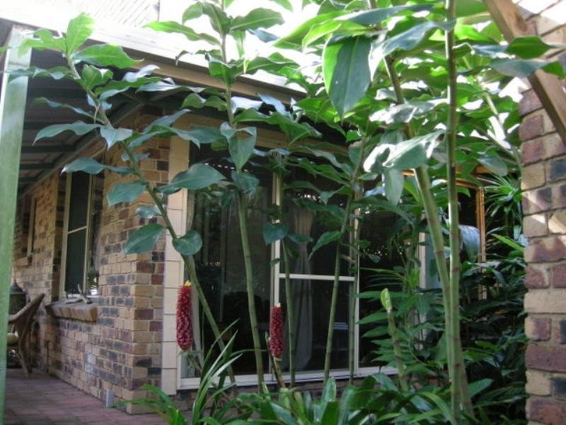 15/1 Belongil Court, Byron Bay NSW 2481