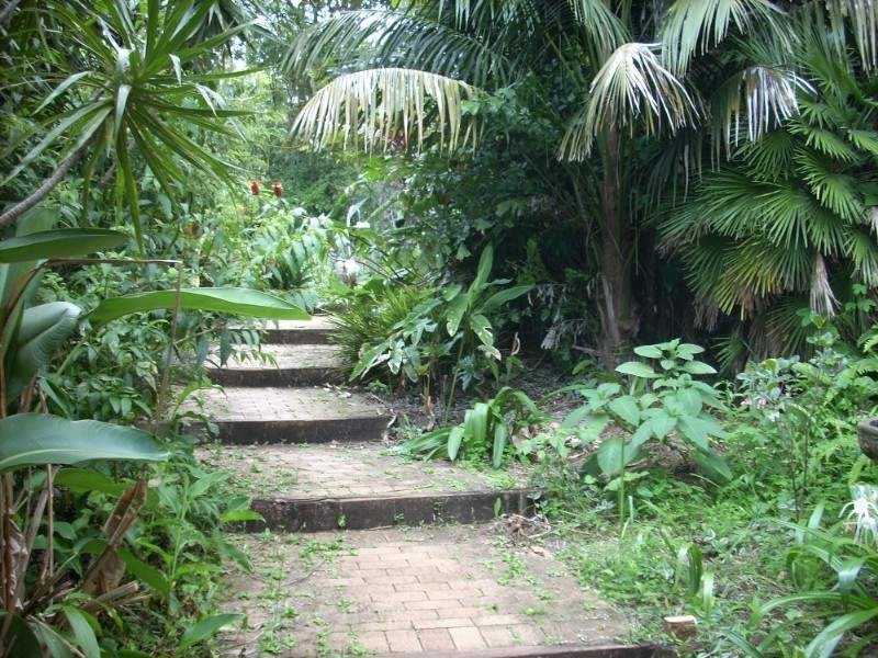 6 Roses Road, Federal NSW 2480