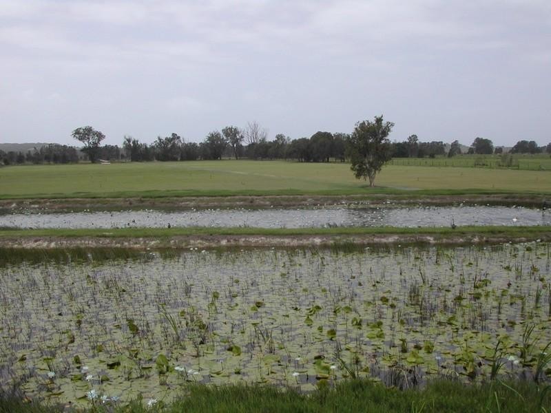 Round Mountain NSW 2484