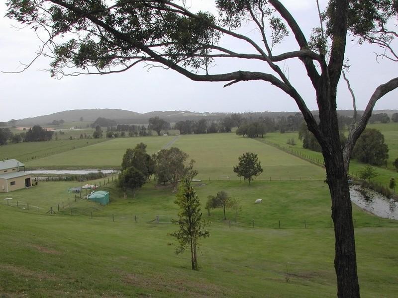 Round Mountain NSW 2484