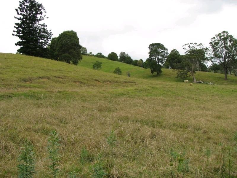 Clothiers Creek NSW 2484