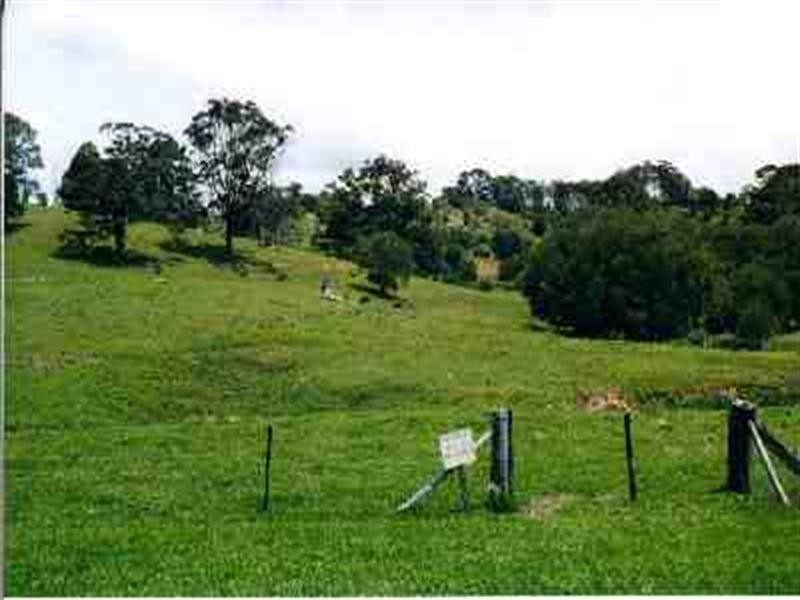 Clothiers Creek NSW 2484