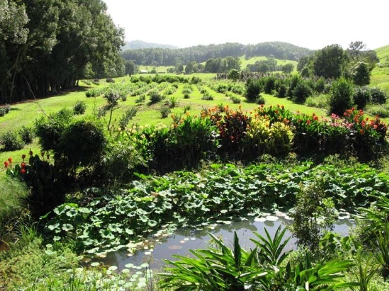 Crystal Creek NSW 2484