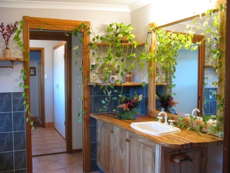 Crystal Creek NSW 2484