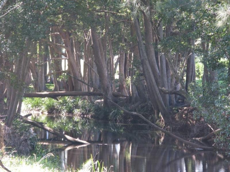 Crystal Creek NSW 2484