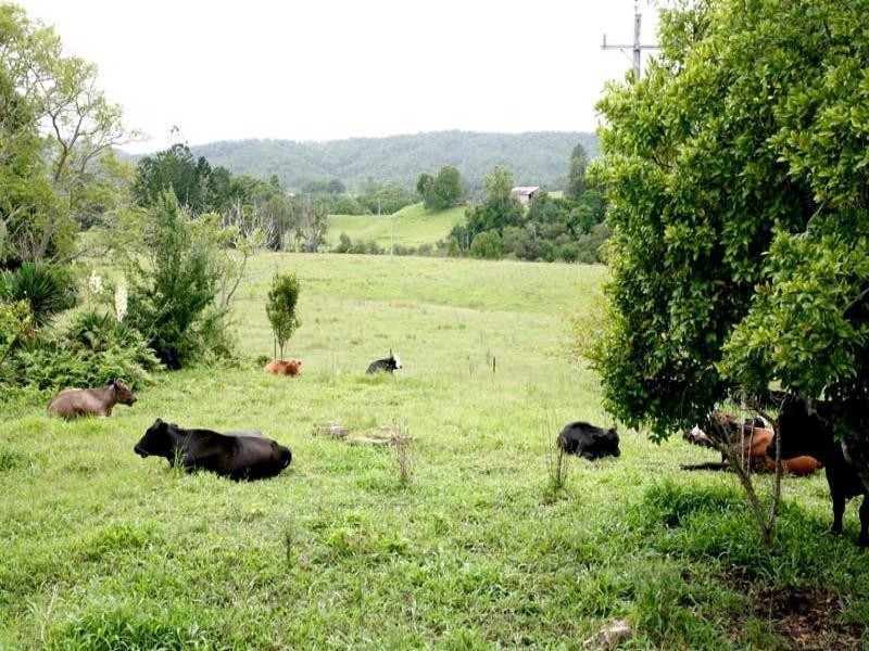 Murwillumbah NSW 2484