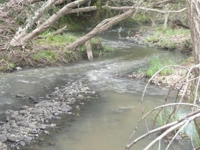 Murwillumbah NSW 2484