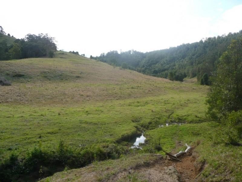 Murwillumbah NSW 2484