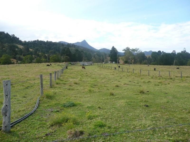 Murwillumbah NSW 2484