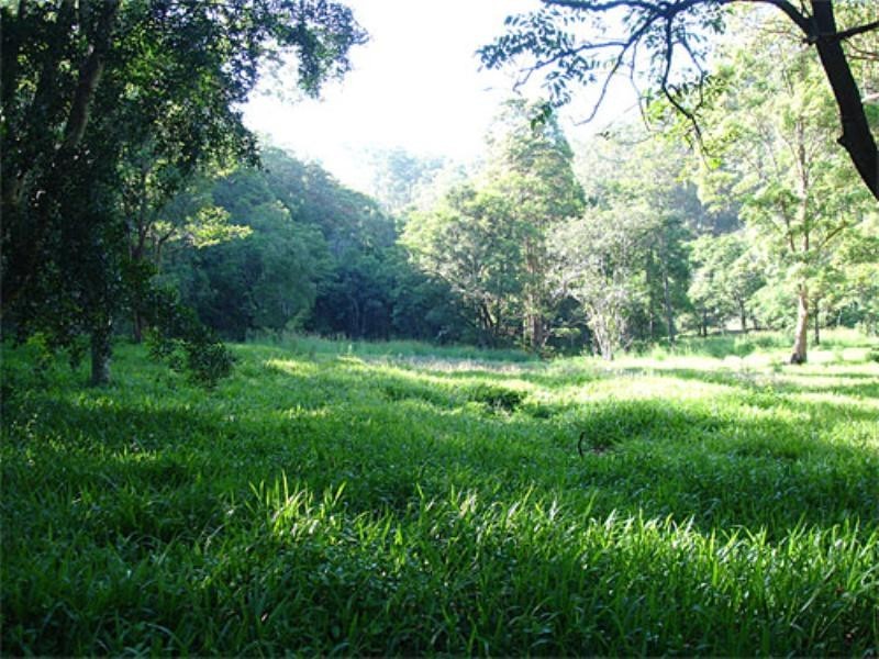 Tanglewood NSW 2488