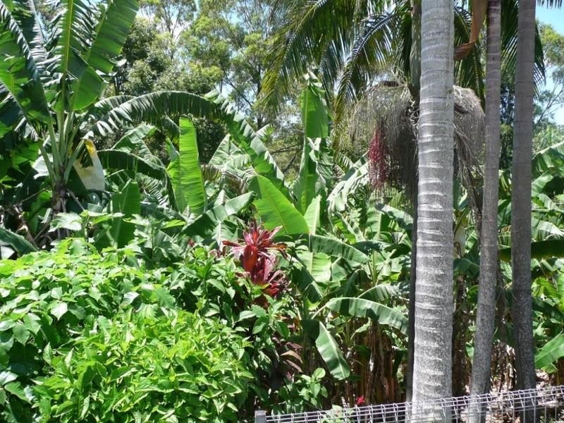 Cudgera Creek NSW 2484