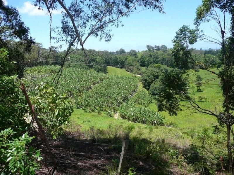 Cudgera Creek NSW 2484