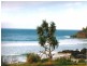 Cabarita Beach NSW 2488