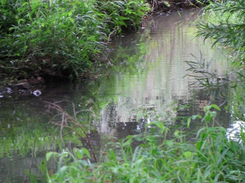 Clothiers Creek NSW 2484