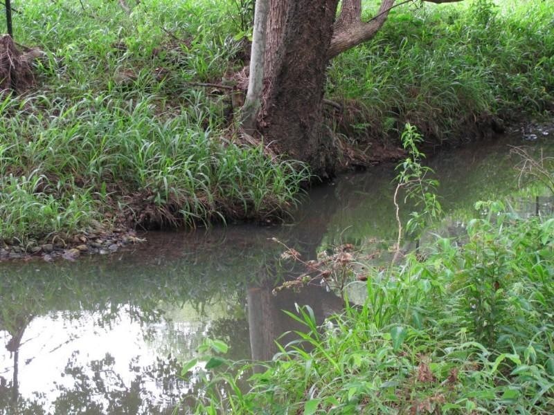 Clothiers Creek NSW 2484