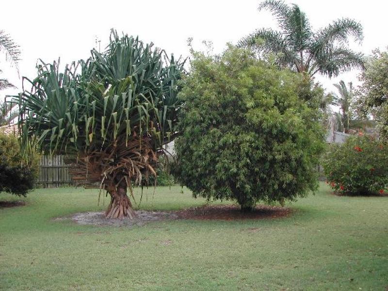 Cabarita Beach NSW 2488