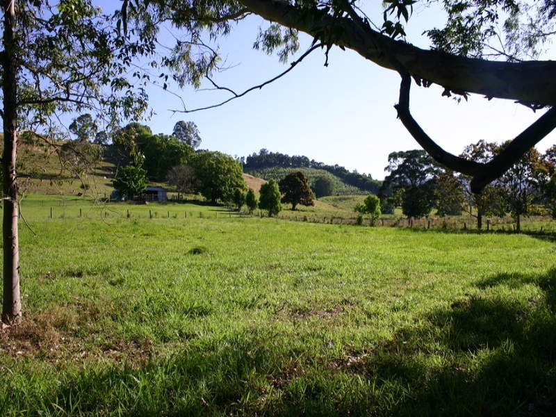 Lot 1 Crabbes Avenue, Crabbes Creek NSW 2483