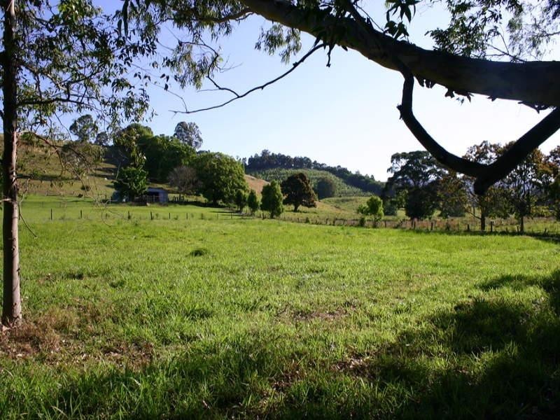 Lot 1 Crabbes Avenue, Crabbes Creek NSW 2483