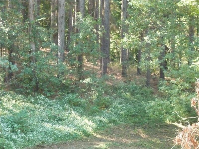 Farrants Hill NSW 2484