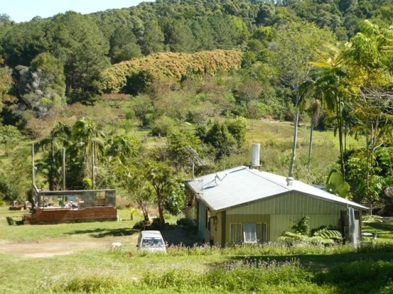 Farrants Hill NSW 2484