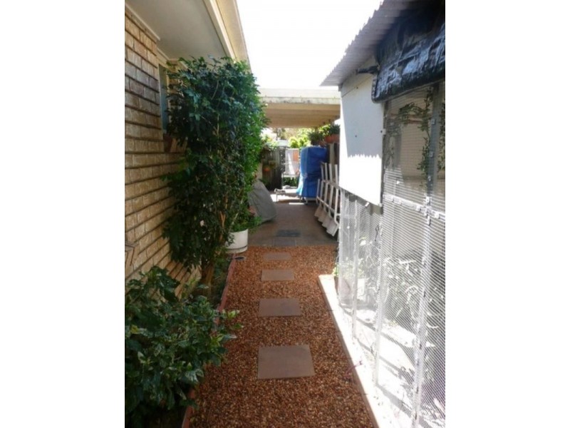 Cabarita Beach NSW 2488