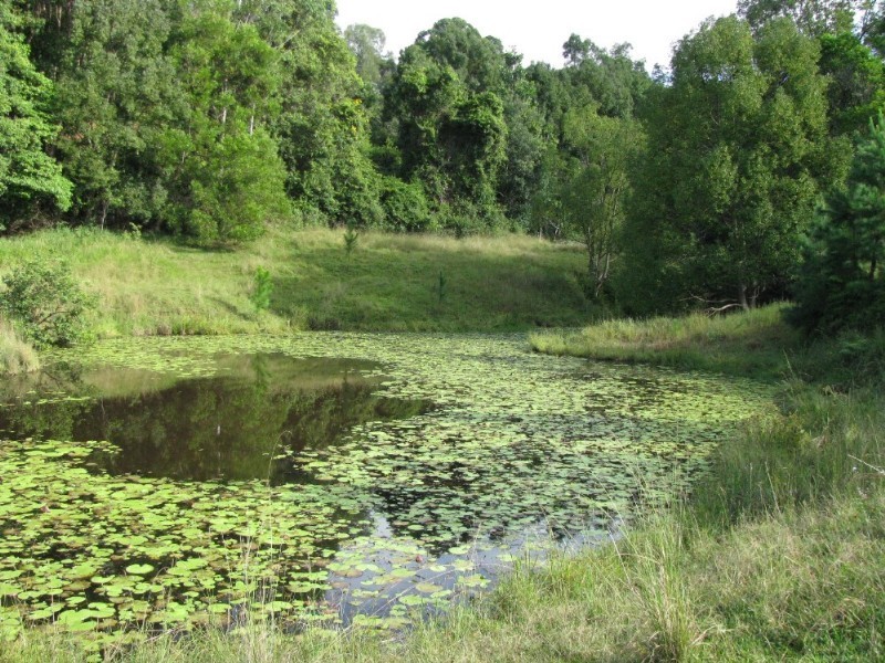 Stokers Siding NSW 2484