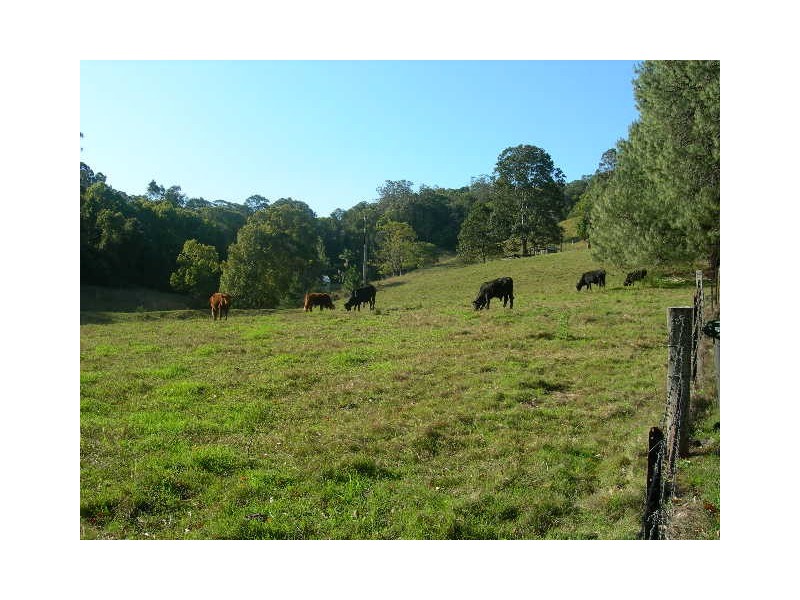 Stokers Siding NSW 2484