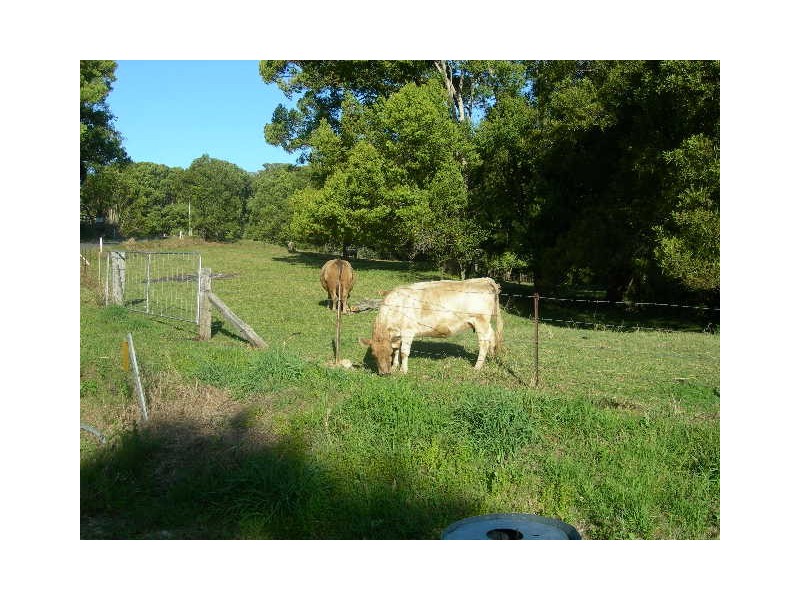 Stokers Siding NSW 2484