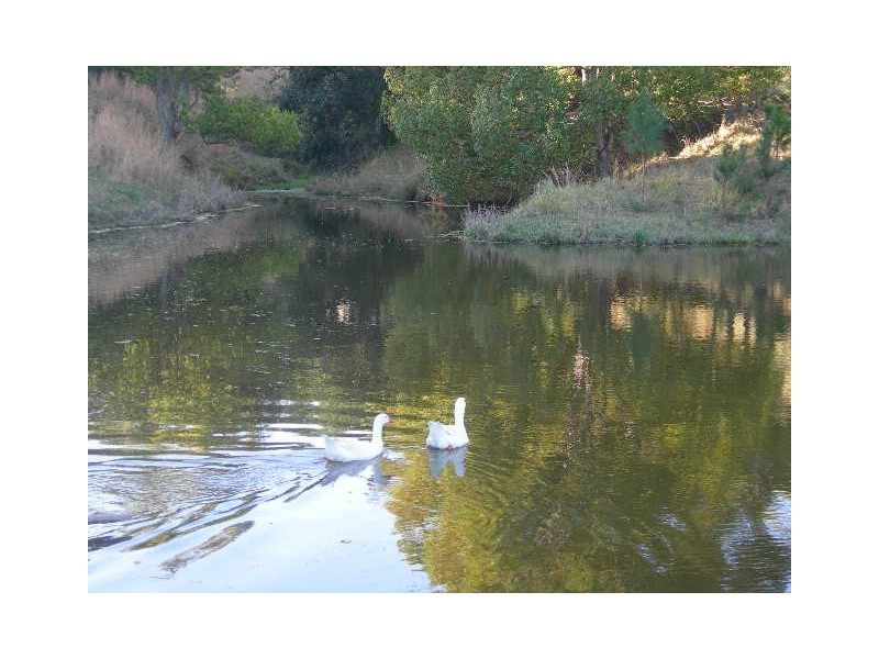 Stokers Siding NSW 2484
