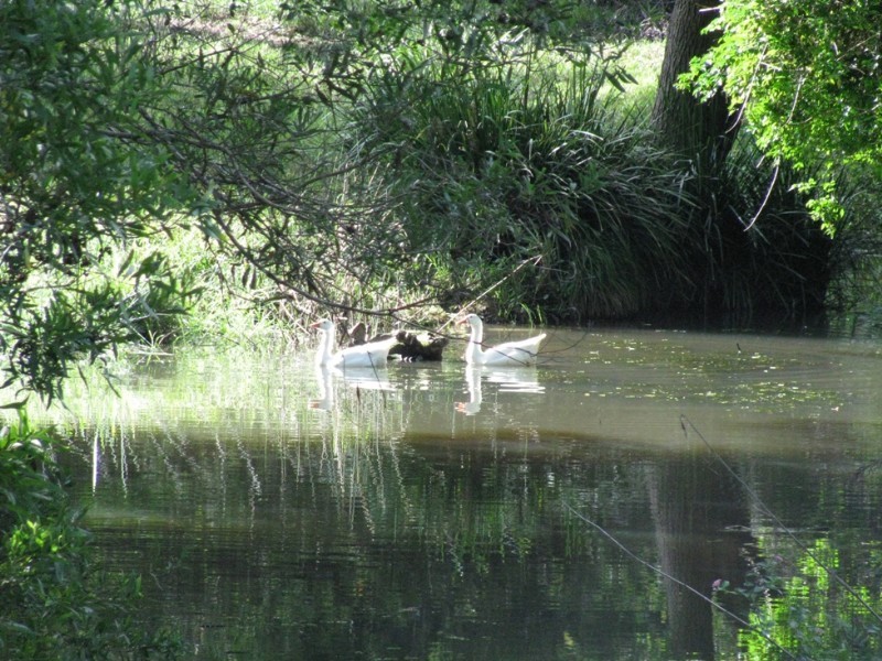 Stokers Siding NSW 2484