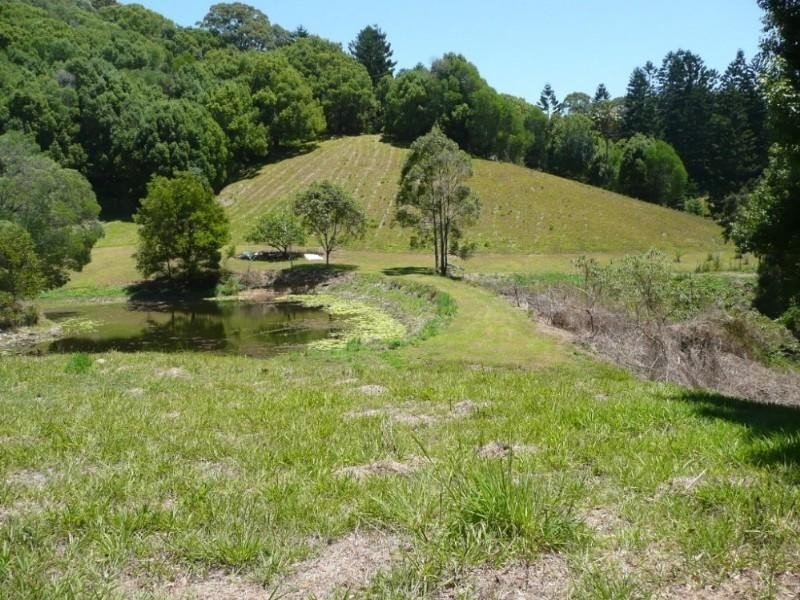 Clothiers Creek NSW 2484