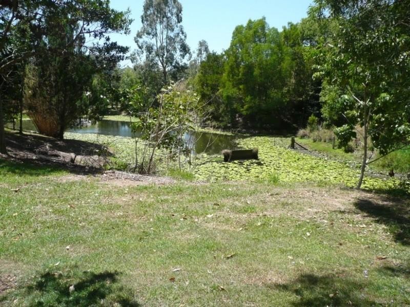 Clothiers Creek NSW 2484