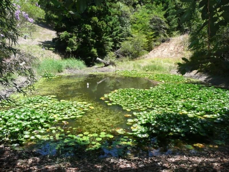 Clothiers Creek NSW 2484