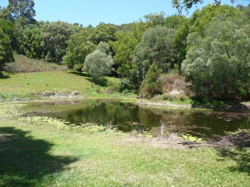 Clothiers Creek NSW 2484