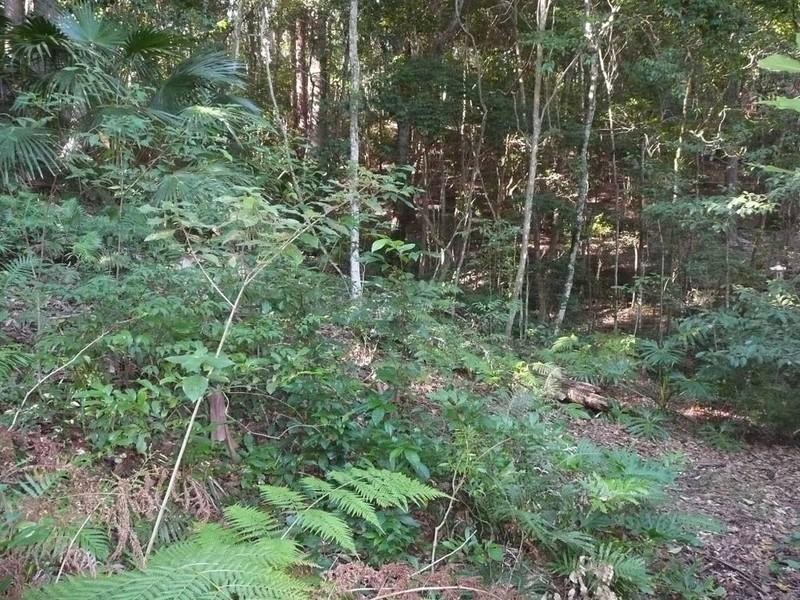 Cabarita Beach NSW 2488