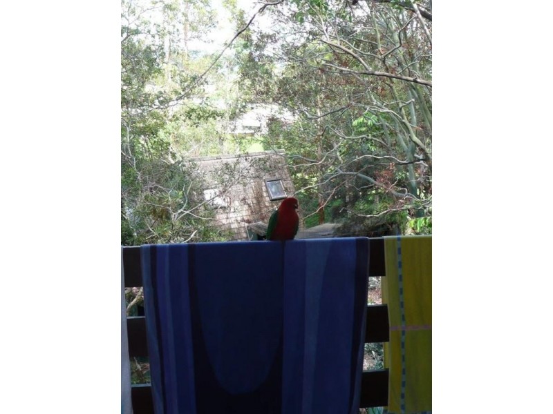 Cabarita Beach NSW 2488