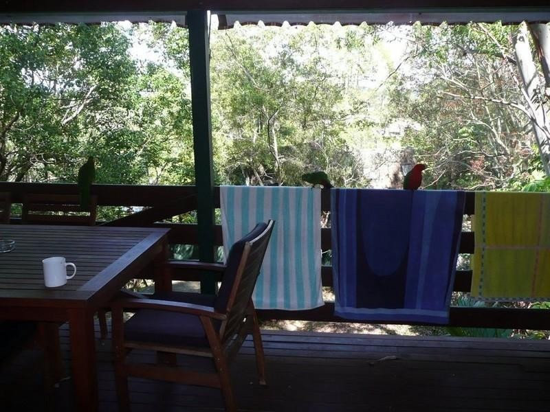 Cabarita Beach NSW 2488