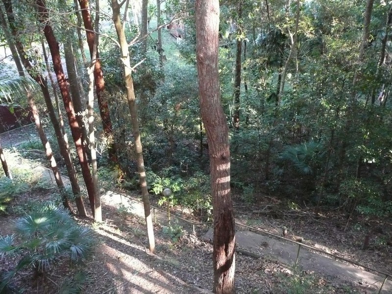 Cabarita Beach NSW 2488