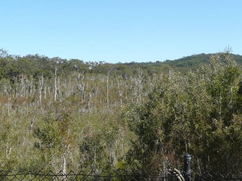 20 Watergum Place, Cabarita Beach NSW 2488