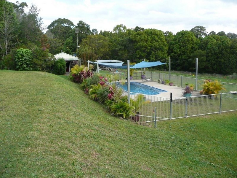 501 Round Mountain Road, Round Mountain NSW 2484