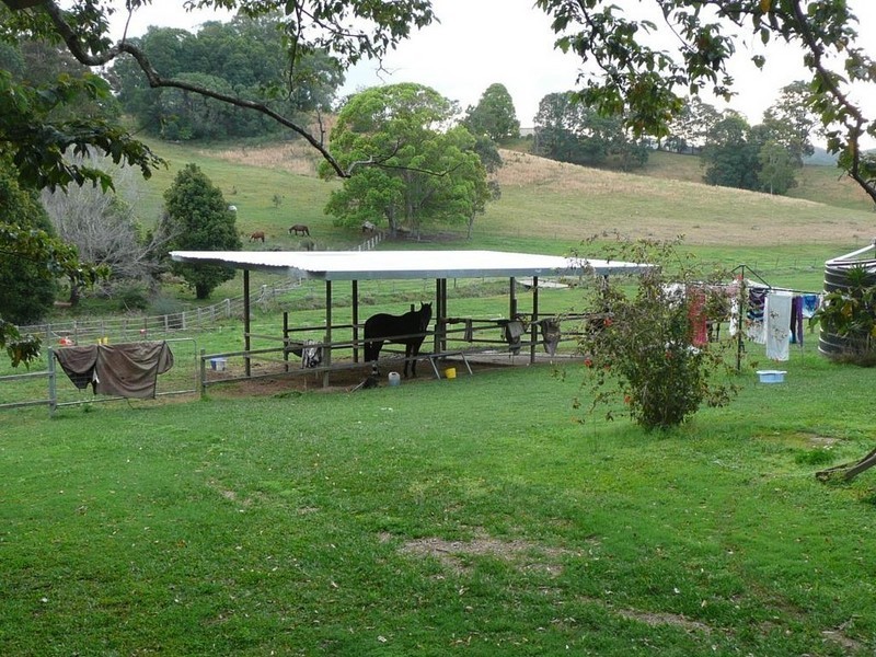 501 Round Mountain Road, Round Mountain NSW 2484
