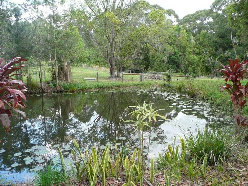501 Round Mountain Road, Round Mountain NSW 2484
