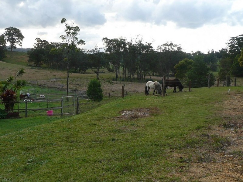 501 Round Mountain Road, Round Mountain NSW 2484