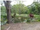 501 Round Mountain Road, Round Mountain NSW 2484