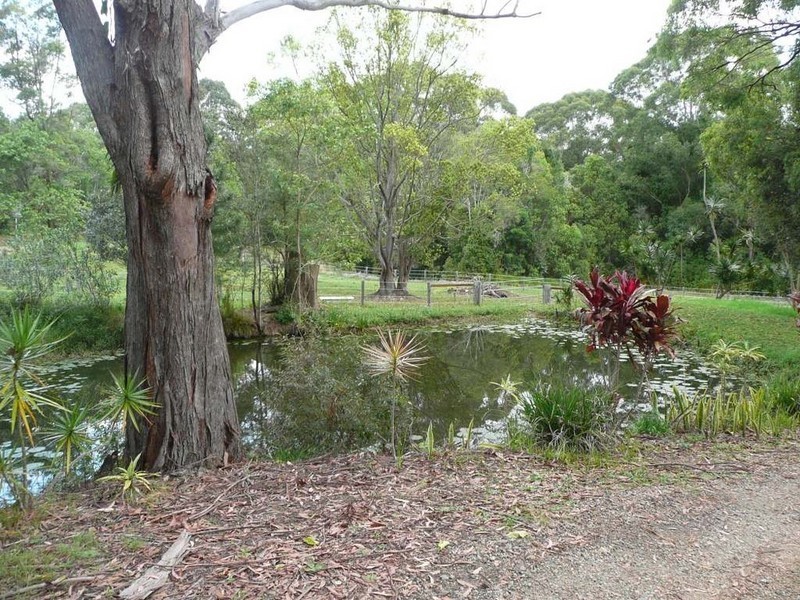 501 Round Mountain Road, Round Mountain NSW 2484