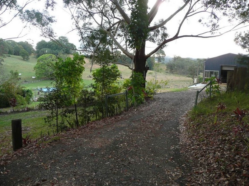 501 Round Mountain Road, Round Mountain NSW 2484