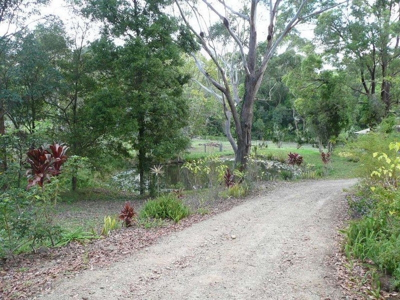 501 Round Mountain Road, Round Mountain NSW 2484
