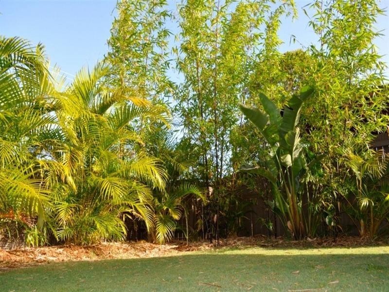 Cabarita Beach NSW 2488