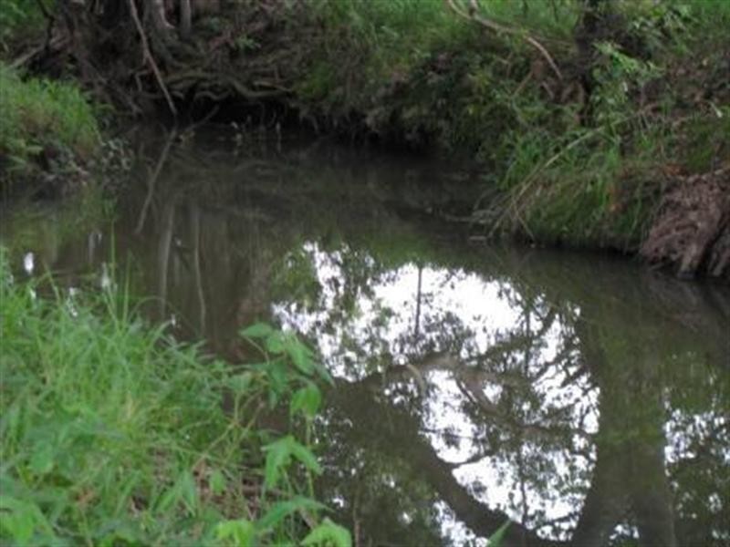 Cabarita Beach NSW 2488